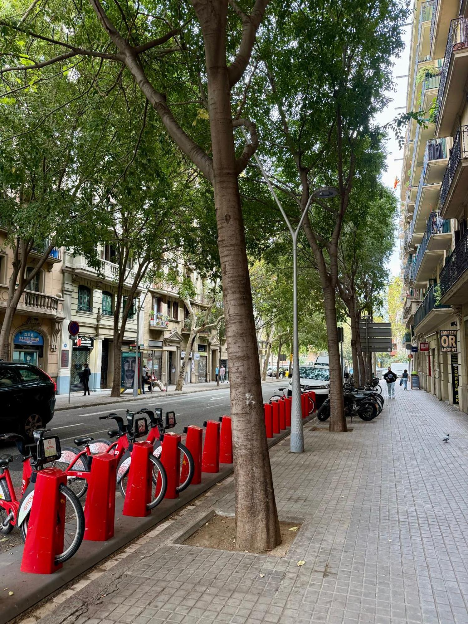 Appartamento Newly Renovated Stylish Eixample - Great Location Barcellona Esterno foto